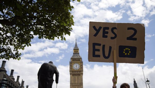 A demonstrator holds a placard during a protest against the outcome of the UK's June 23 referendum on the European Union (EU), in central London on June 25, 2016. A demonstrator holds a placard during a protest against the outcome of the UK's June 23 referendum on the European Union (EU), in central London on June 25, 2016. - Sputnik International