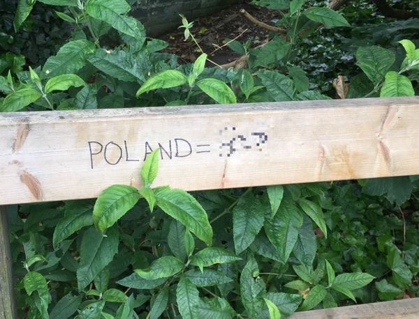Post-Brexit anti-Polish explicit graffiti in South London. - Sputnik International