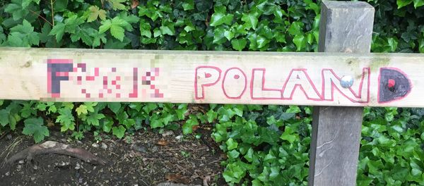 Anti-Polish immigrant graffiti in South London Anti-Polish immigrant graffiti in South London - Sputnik International