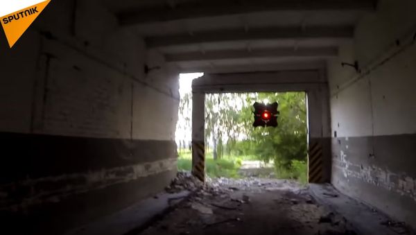 Russian Engineer Creates Half-Life 2 Drone - Sputnik International
