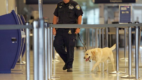 JFK Airport in New York - Sputnik International