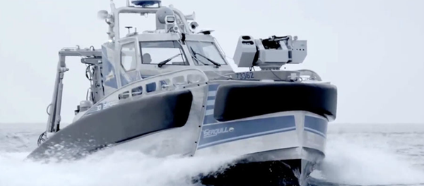 Israel's Seagull anti-submarine, mine-searching warship Israel's Seagull anti-submarine, mine-searching warship - Sputnik International