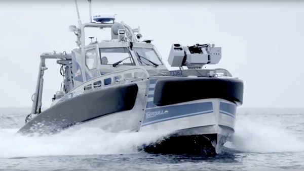 Israel's Seagull anti-submarine, mine-searching warship - Sputnik International