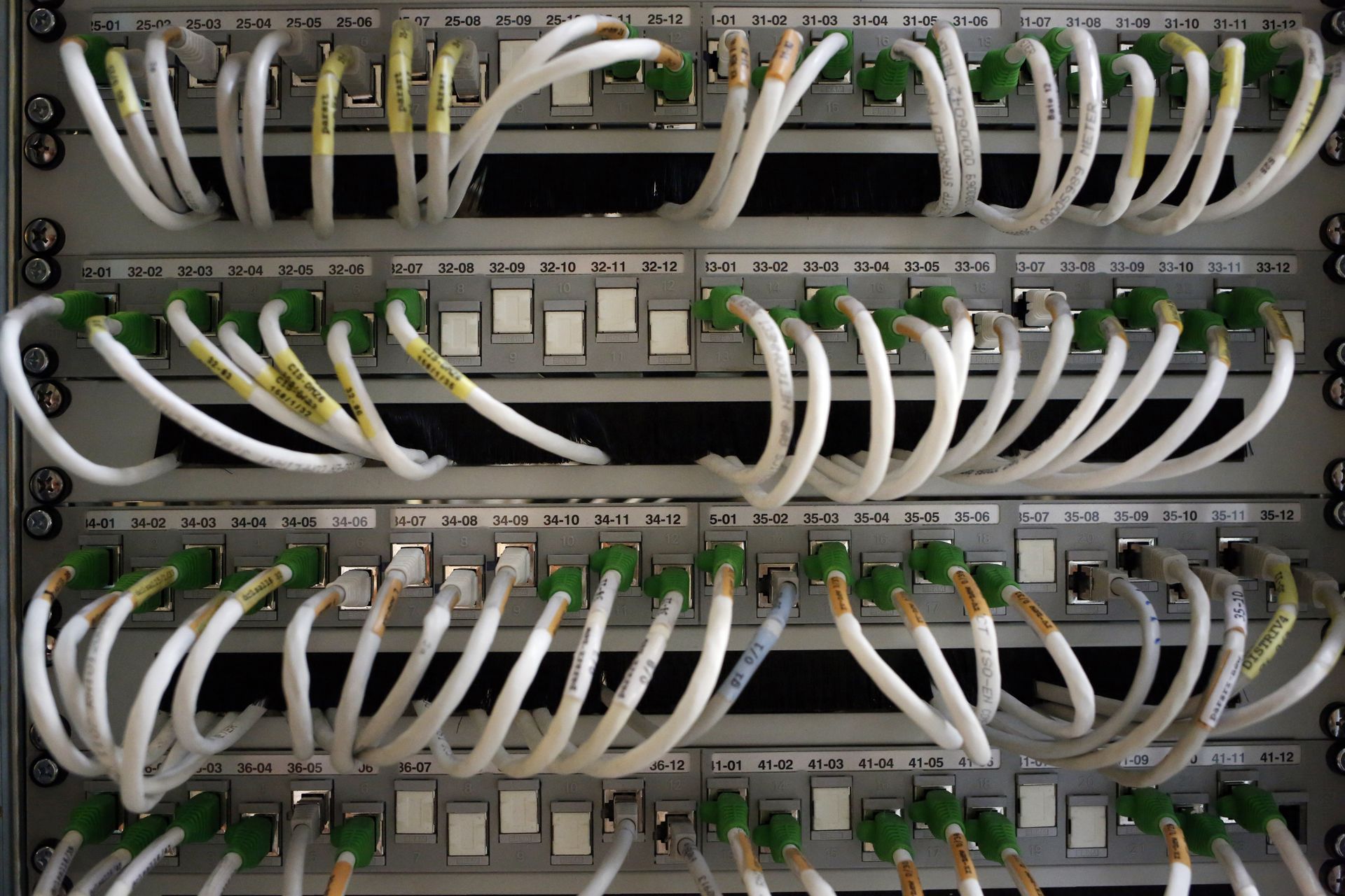 Network cables - Sputnik International, 1920, 05.03.2022