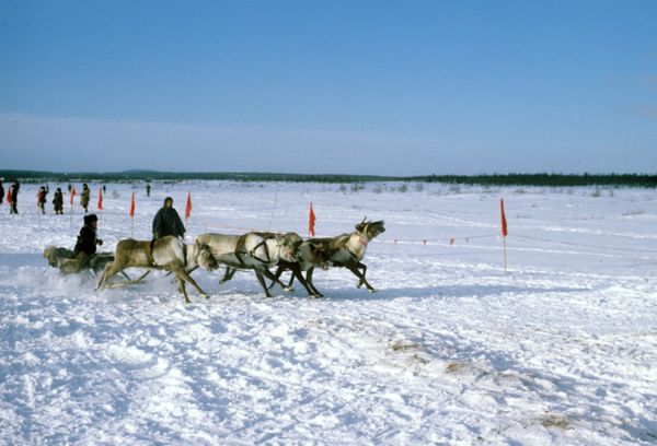 Not by Crimea Alone: Must-Visit Pearls of Russia’s North - Sputnik International