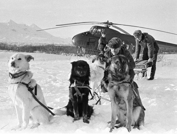 Russia's Kamchatka, the Land of Fire and Ice - Sputnik International