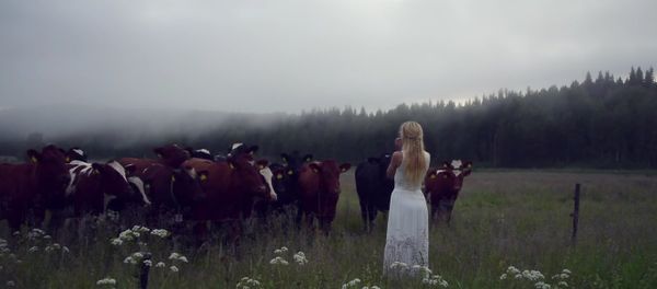 Kulning - Ancient Swedish herdingcall - Sputnik International