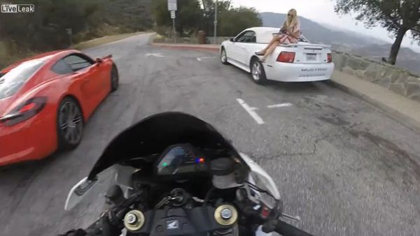 Harley canyon shredding - Sputnik International
