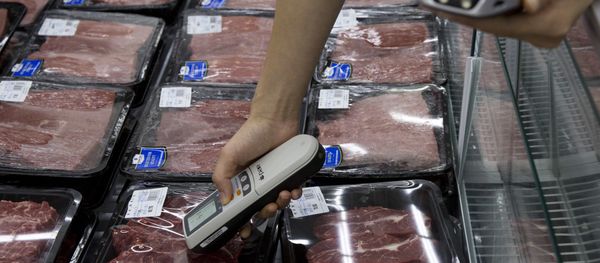 Worker measures the temperature of beef on display at a Sam's Club in Shenzhen, China (File) - Sputnik International
