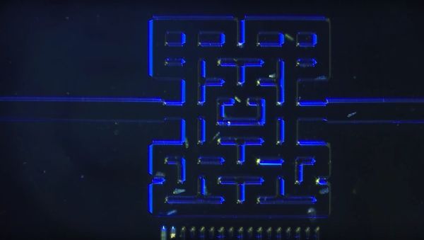 Mikroskopisk Pacman - Sputnik International