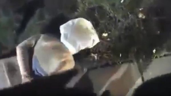 Video Surfaces of Woman Brutally Beaten by Cop in Front of Young Daughter - Sputnik International