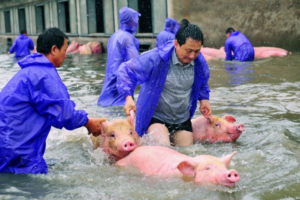 This Week in Pictures - Sputnik International