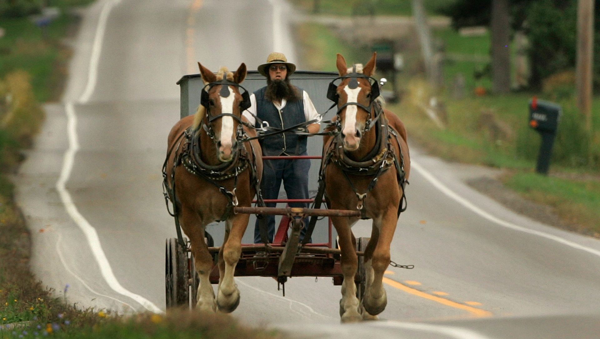 An Amish man drives his team of work horses down a road in Burton Township, Ohio An Amish man drives his team of work horses down a road in Burton Township, Ohio - Sputnik International, 1920, 28.03.2021