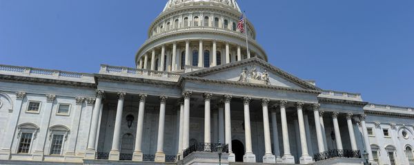 The US Capitol building is pictured in Washington, DC The US Capitol building is pictured in Washington, DC - Sputnik International