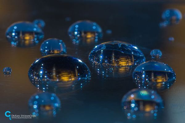 See the Whole World in One Drop of Water - Sputnik International
