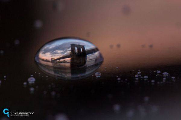 See the Whole World in One Drop of Water - Sputnik International