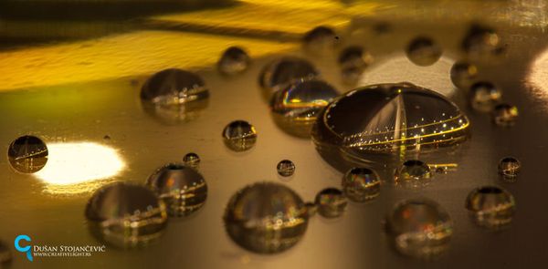 See the Whole World in One Drop of Water - Sputnik International