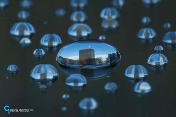 See the Whole World in One Drop of Water - Sputnik International