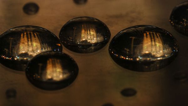 See the Whole World in One Drop of Water - Sputnik International