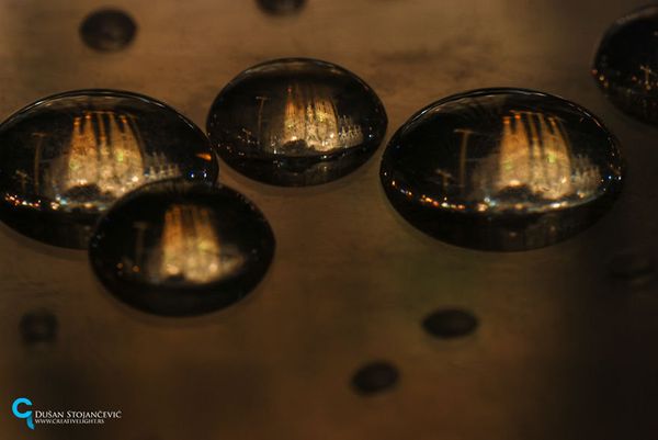 See the Whole World in One Drop of Water - Sputnik International