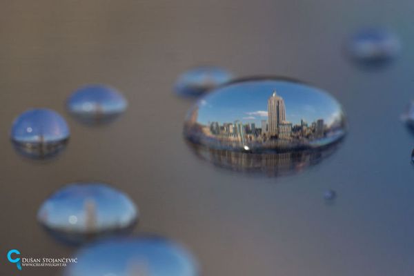 See the Whole World in One Drop of Water - Sputnik International