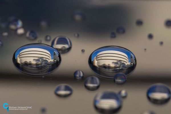 See the Whole World in One Drop of Water - Sputnik International