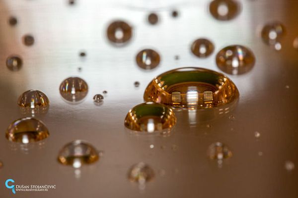 See the Whole World in One Drop of Water - Sputnik International