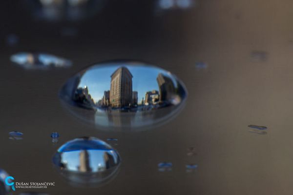 See the Whole World in One Drop of Water - Sputnik International