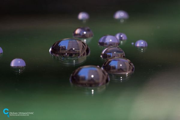 See the Whole World in One Drop of Water - Sputnik International
