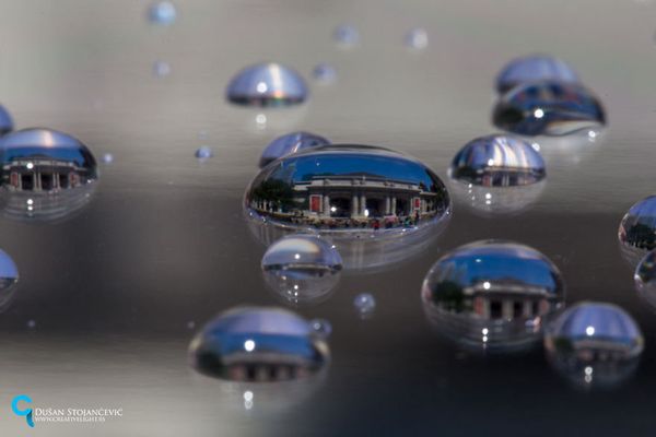 See the Whole World in One Drop of Water - Sputnik International