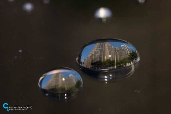 See the Whole World in One Drop of Water - Sputnik International