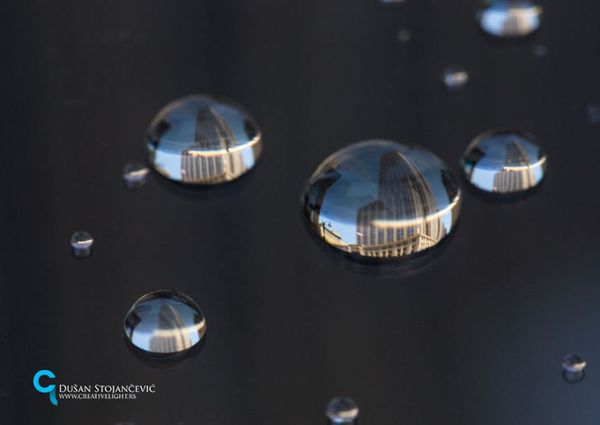 See the Whole World in One Drop of Water - Sputnik International