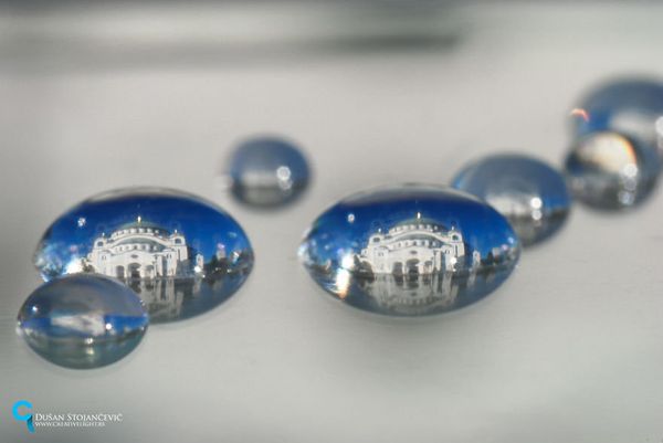 See the Whole World in One Drop of Water - Sputnik International