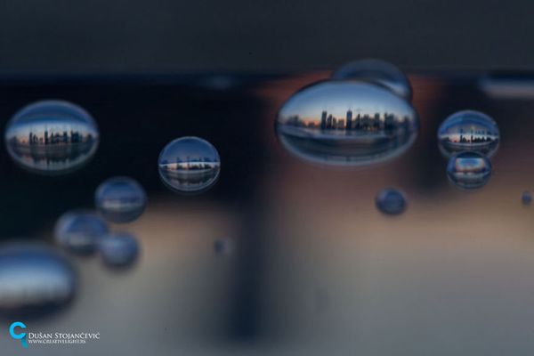 See the Whole World in One Drop of Water - Sputnik International