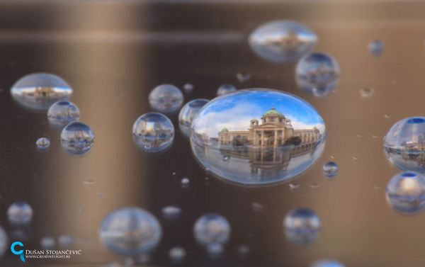 See the Whole World in One Drop of Water - Sputnik International