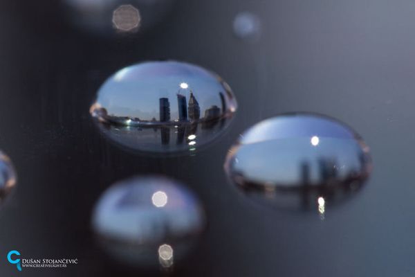 See the Whole World in One Drop of Water - Sputnik International