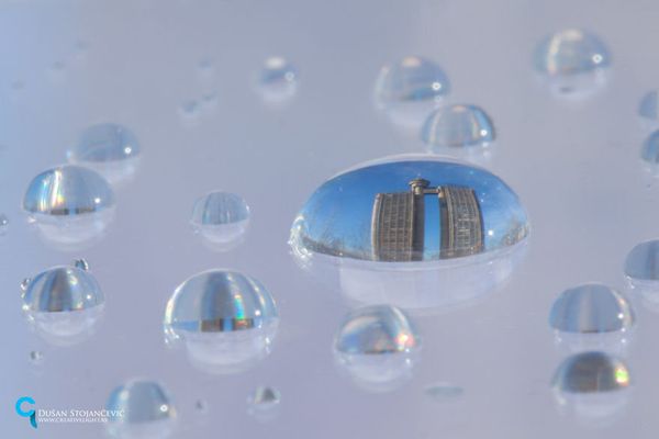 See the Whole World in One Drop of Water - Sputnik International