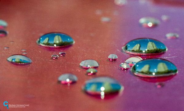 See the Whole World in One Drop of Water - Sputnik International