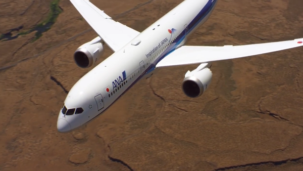 Amazing! The Beauty of Boeing’s 787-9 Dreamliner on Display - Sputnik International