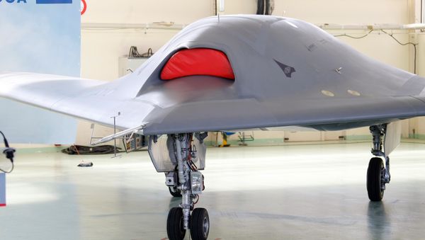 France Defense Drone - Sputnik International