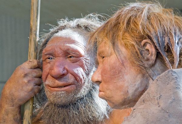 The prehistoric Neanderthal man N, left, is visited for the first time by another reconstruction of a homo neanderthalensis called Wilma, right, at the Neanderthal museum in Mettmann, Germany, Friday, March 20, 2009 The prehistoric Neanderthal man N, left, is visited for the first time by another reconstruction of a homo neanderthalensis called Wilma, right, at the Neanderthal museum in Mettmann, Germany, Friday, March 20, 2009 - Sputnik International