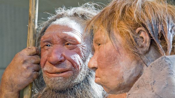 The prehistoric Neanderthal man N, left, is visited for the first time by another reconstruction of a homo neanderthalensis called Wilma, right, at the Neanderthal museum in Mettmann, Germany, Friday, March 20, 2009 The prehistoric Neanderthal man N, left, is visited for the first time by another reconstruction of a homo neanderthalensis called Wilma, right, at the Neanderthal museum in Mettmann, Germany, Friday, March 20, 2009 - Sputnik International
