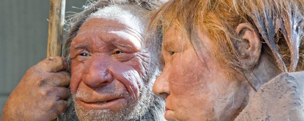The prehistoric Neanderthal man N, left, is visited for the first time by another reconstruction of a homo neanderthalensis called Wilma, right, at the Neanderthal museum in Mettmann, Germany, Friday, March 20, 2009 The prehistoric Neanderthal man N, left, is visited for the first time by another reconstruction of a homo neanderthalensis called Wilma, right, at the Neanderthal museum in Mettmann, Germany, Friday, March 20, 2009 - Sputnik International