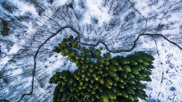 Int'l Drone Photo Contest: Best Pictures Snapped By UAVs Around the World - Sputnik International