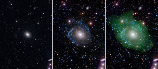 At left, in optical light, UGC 1382 appears to be a simple elliptical galaxy. But spiral arms emerged when astronomers incorporated ultraviolet and deep optical data (middle). Combining that with a view of low-density hydrogen gas (shown in green at right), scientists discovered that UGC 1382 is gigantic. - Sputnik International