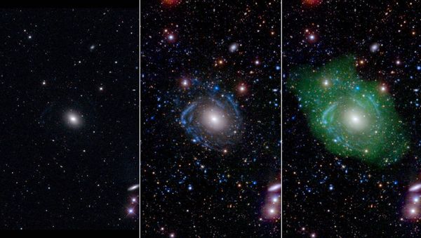 At left, in optical light, UGC 1382 appears to be a simple elliptical galaxy. But spiral arms emerged when astronomers incorporated ultraviolet and deep optical data (middle). Combining that with a view of low-density hydrogen gas (shown in green at right), scientists discovered that UGC 1382 is gigantic. At left, in optical light, UGC 1382 appears to be a simple elliptical galaxy. But spiral arms emerged when astronomers incorporated ultraviolet and deep optical data (middle). Combining that with a view of low-density hydrogen gas (shown in green at right), scientists discovered that UGC 1382 is gigantic. - Sputnik International