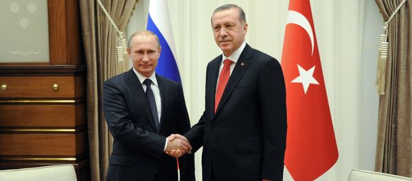 Russian President Vladimir Putin, left, and his Turkish counterpart Recep Tayyip Erdogan shake hands (File) Russian President Vladimir Putin, left, and his Turkish counterpart Recep Tayyip Erdogan shake hands (File) - Sputnik International