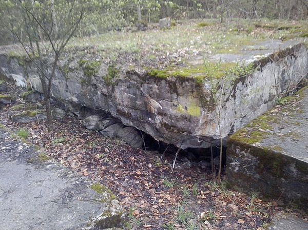 The moss-covered ruins of a German World War II bunker in northeastern Poland that may be hiding Russia’s precious Amber Room. file photo  - Sputnik International