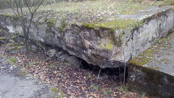 Searches for Nazi ‘Gold Train’ in Poland to Last 10 More Days – Search Team Searches for Nazi ‘Gold Train’ in Poland to Last 10 More Days – Search Team - Sputnik International