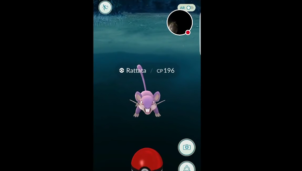 Man Falls in Pond Playing Pokemon GO - Sputnik International